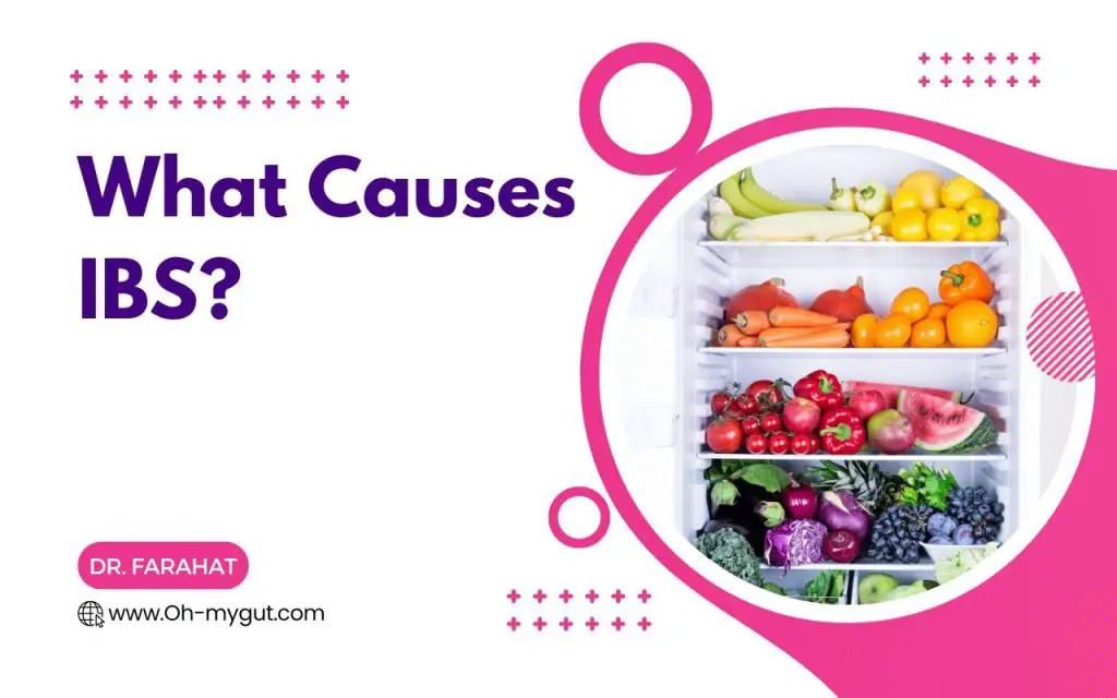 Lipase levels 101 Normal Range, Elevated, Low Levels & More Oh My Gut