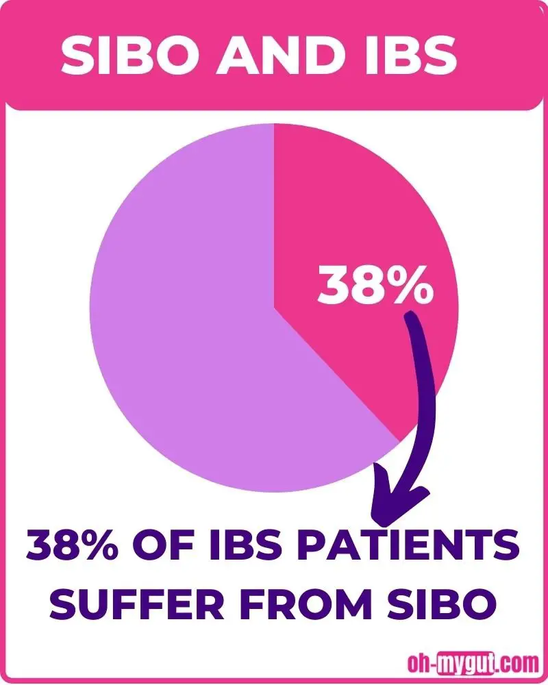 sibo and ibs bloating