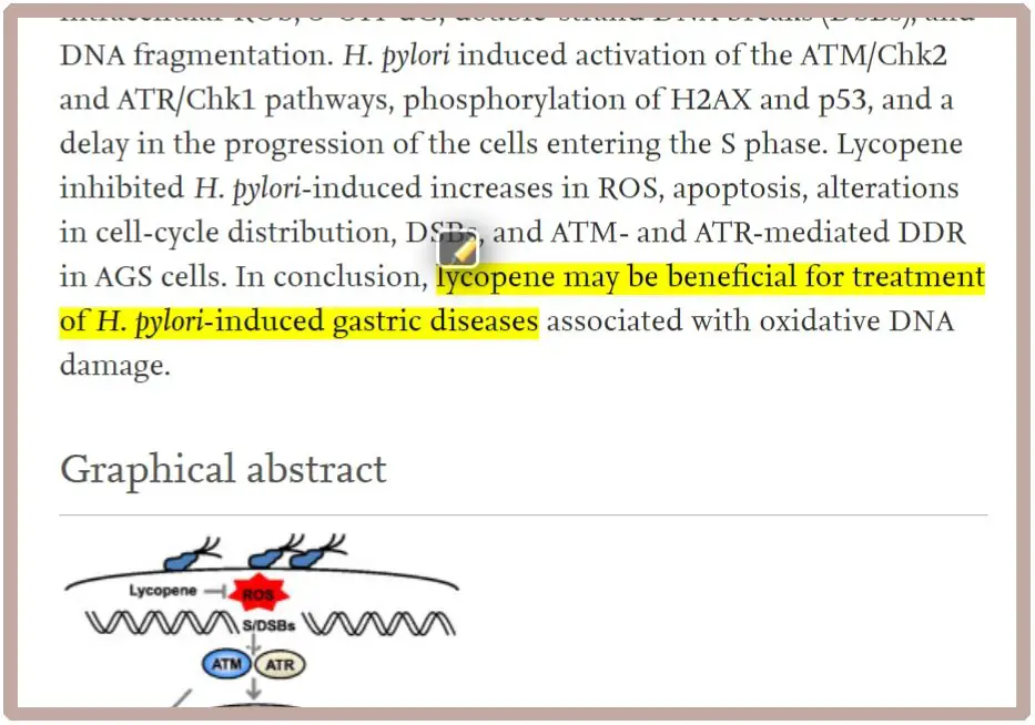 Lycopene in watermelon may protect from H. Pylori.