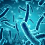 signs of recovery from typhoid fever