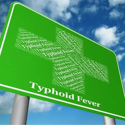 can typhoid be cured completely