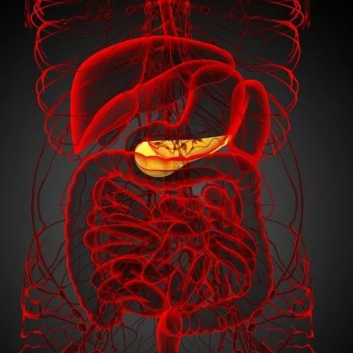 dangerous bilirubin levels in adults