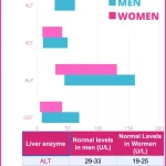 liver enzymes levels chart