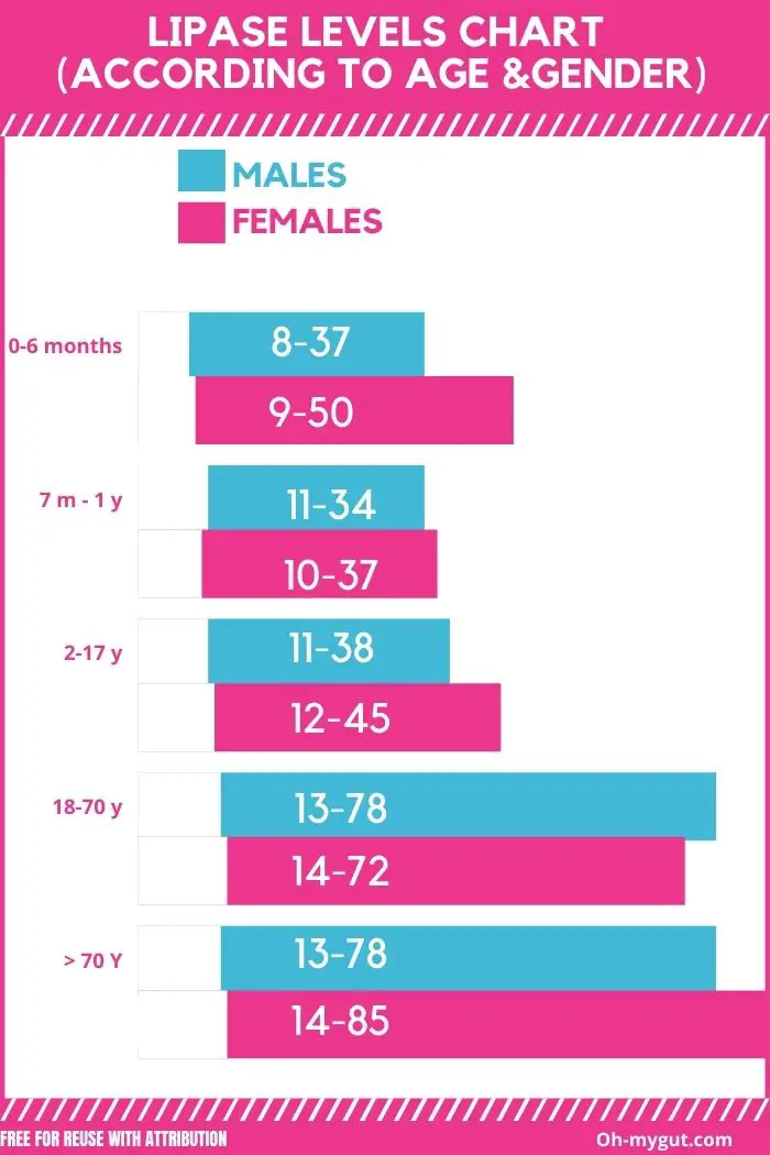 normal lipase levels chart