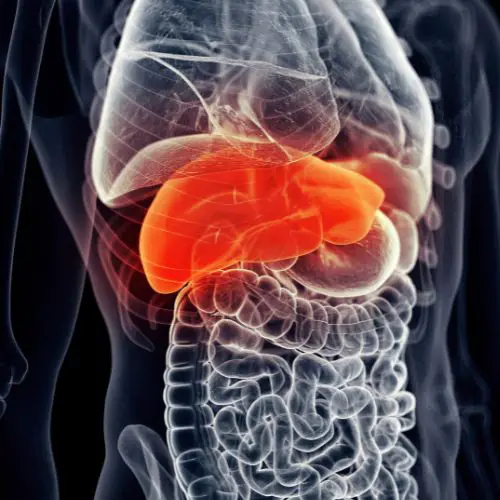 elevated liver enzymes, negative ultrasound.