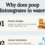 poop disintegrates in water