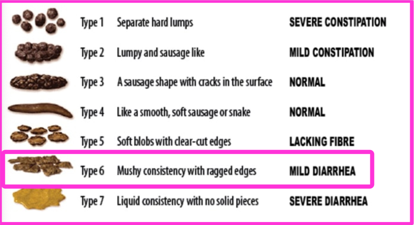 https://www.oh-mygut.com/wp-content/uploads/2022/12/fluffy-poop-on-bristol-stool-form-score-chart.jpg