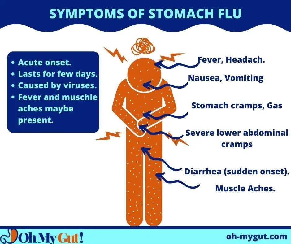 symptoms of viral gastroenteritis (stomach flu): graphical representation