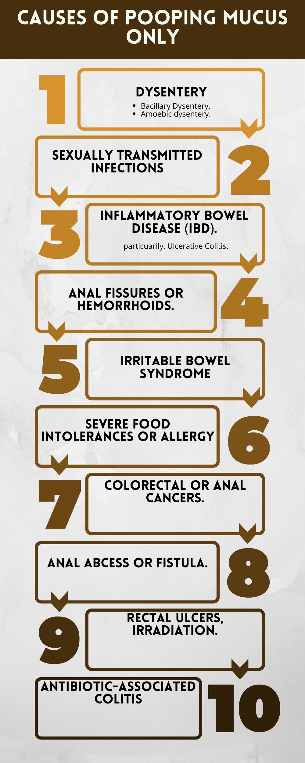 common causes of pooping mucus only infographic