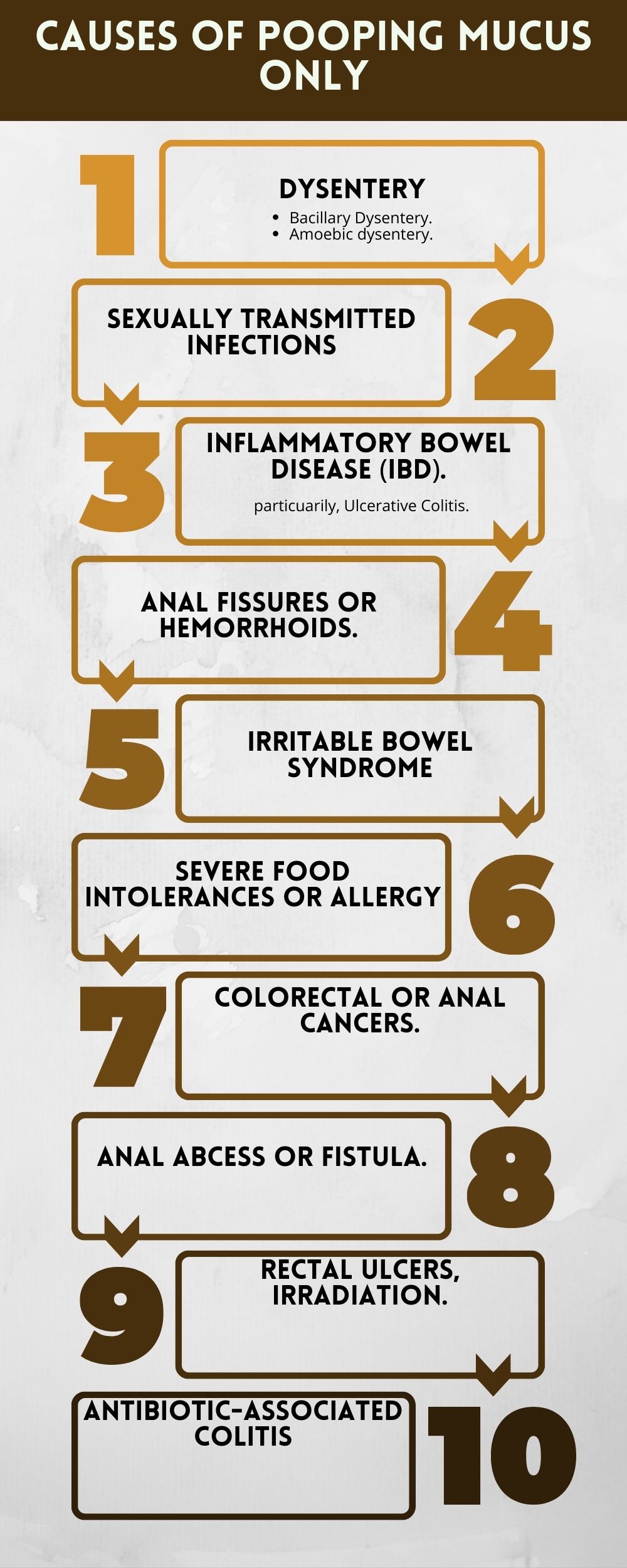 common causes of pooping mucus only infographic